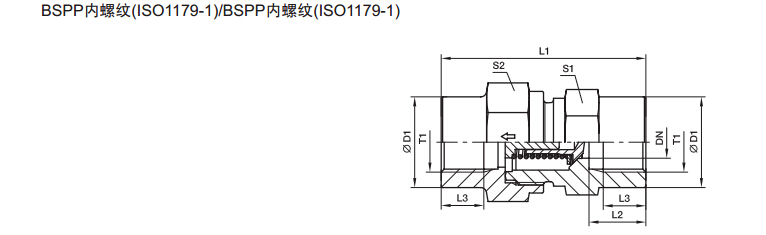 RHDI 单向阀 英制内螺纹-2.jpg