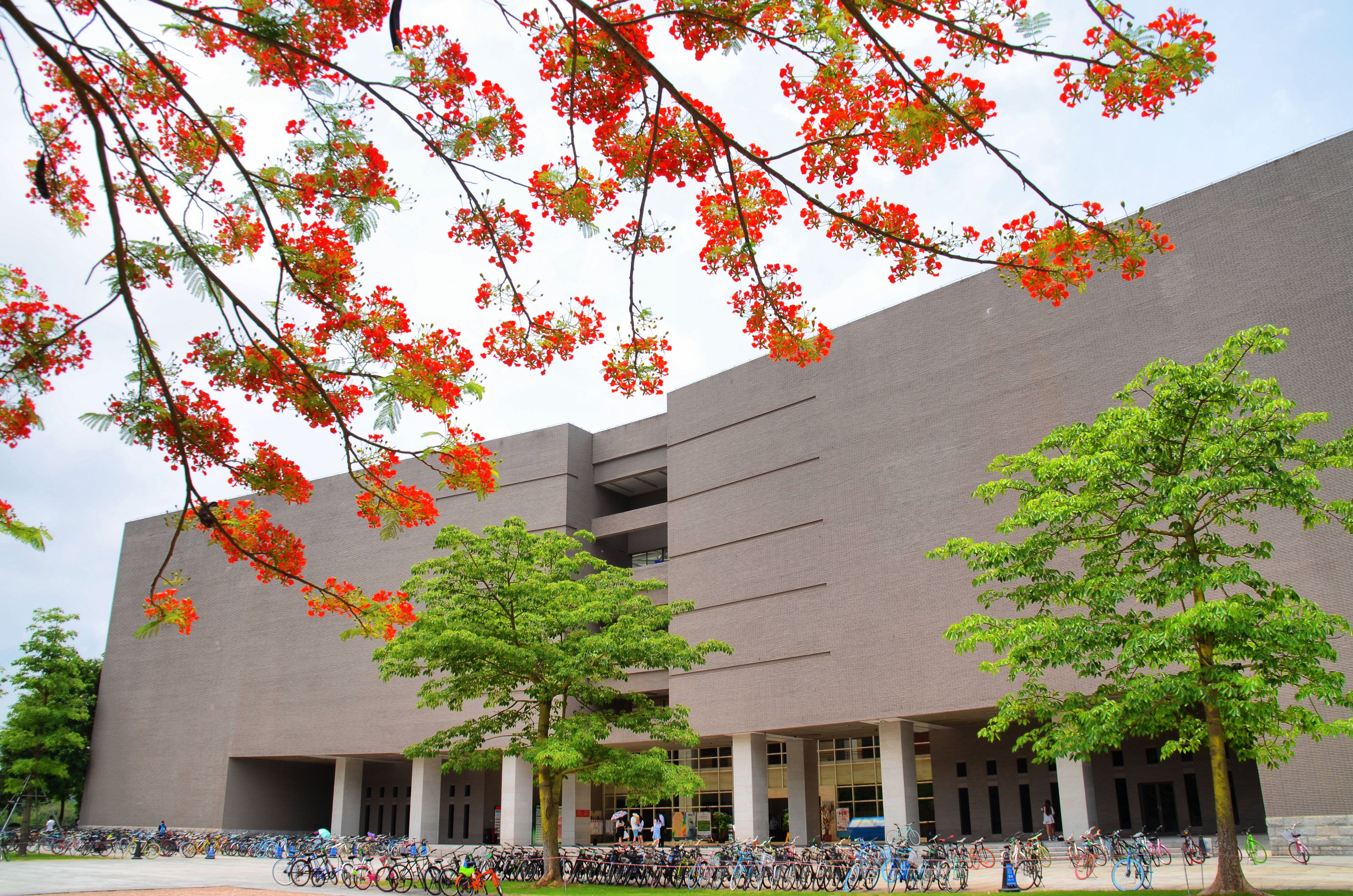 aa0fa57399624972b69286e13aa10684