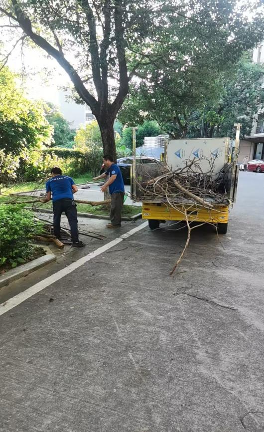 3649d0ca46b64f2cb17c77a90daada05 3649d0ca46b64f2cb17c77a90daada05